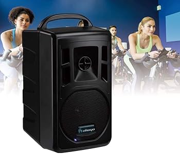 OKAYO ワイヤレススピーカー ハンドマイク2本 GPA-680DU-M2 Amazon | OKAYO 2.4GHzデジタルワイヤレスコンパクトスピーカー
